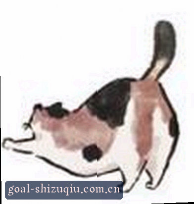 刘洋